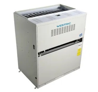 CALEFACTOR A GAS CG-050 GAC1ANS 50.000KCAL - 220v - WESTRIC